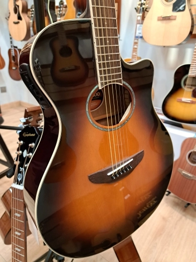 Yamaha - APX600 OVS 2